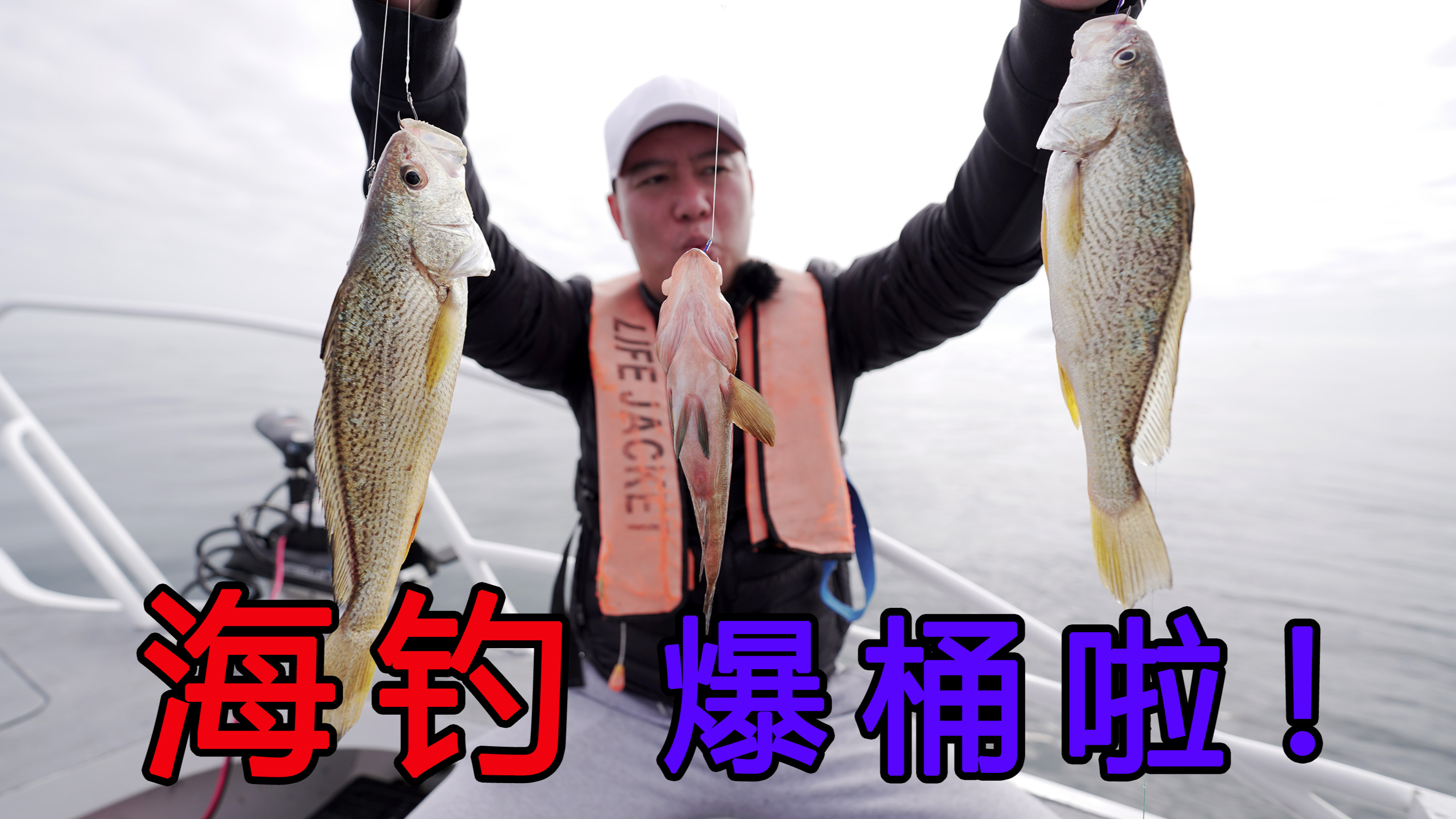 海钓野生大黄鱼，一条接一条的拉，太刺激了