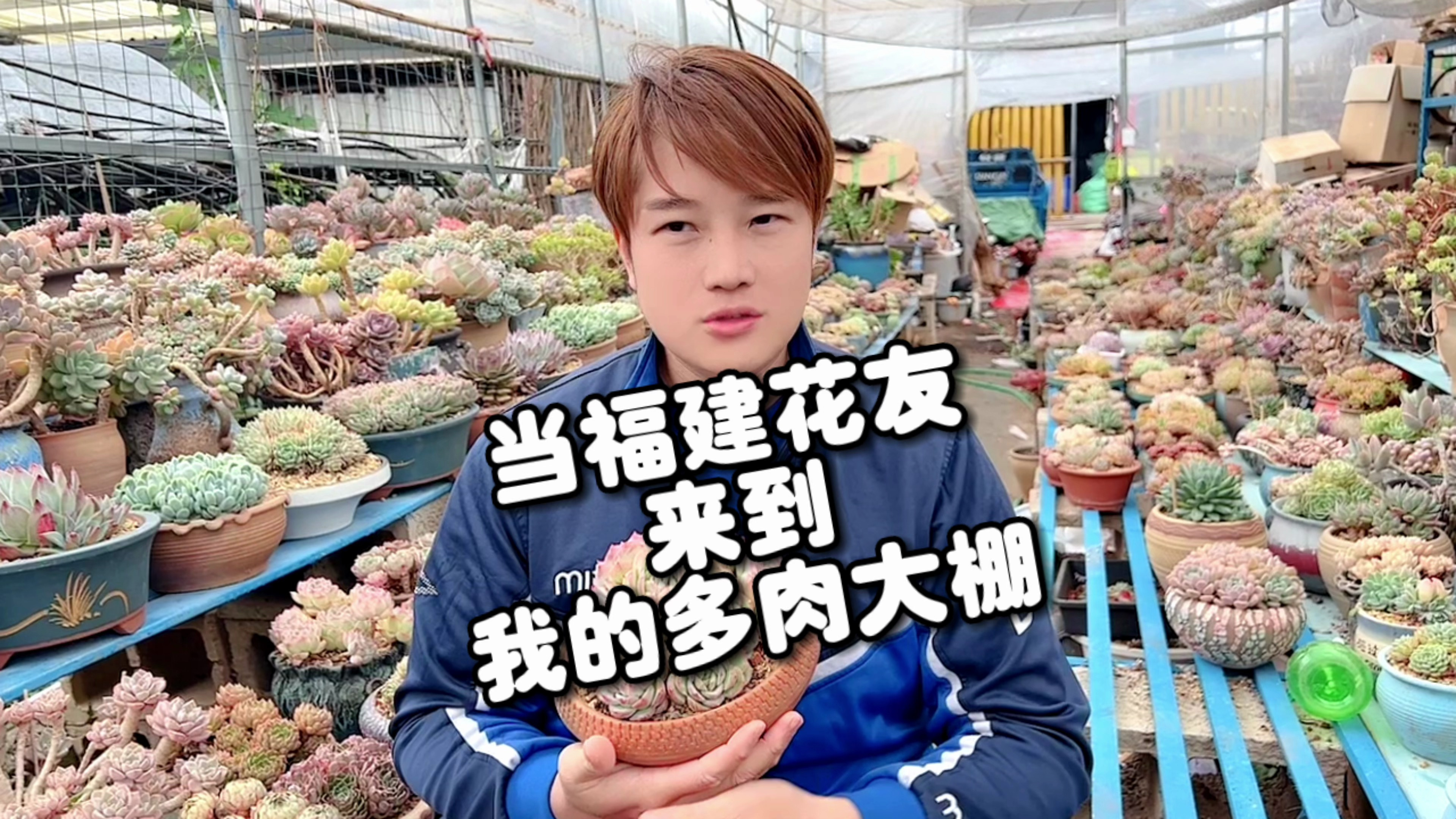 当福建花友来到我的多肉大棚,惊叹多肉的颜值到说话结巴