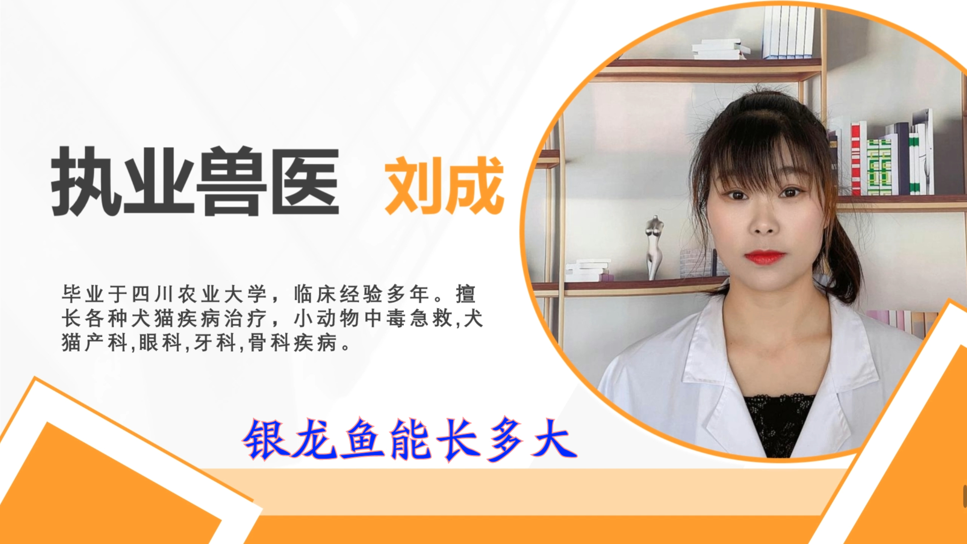 银龙鱼能长多大?