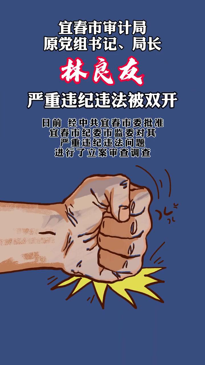 宜春市审计局原党组书记局长林良友严重违纪违法被双开江西宜春