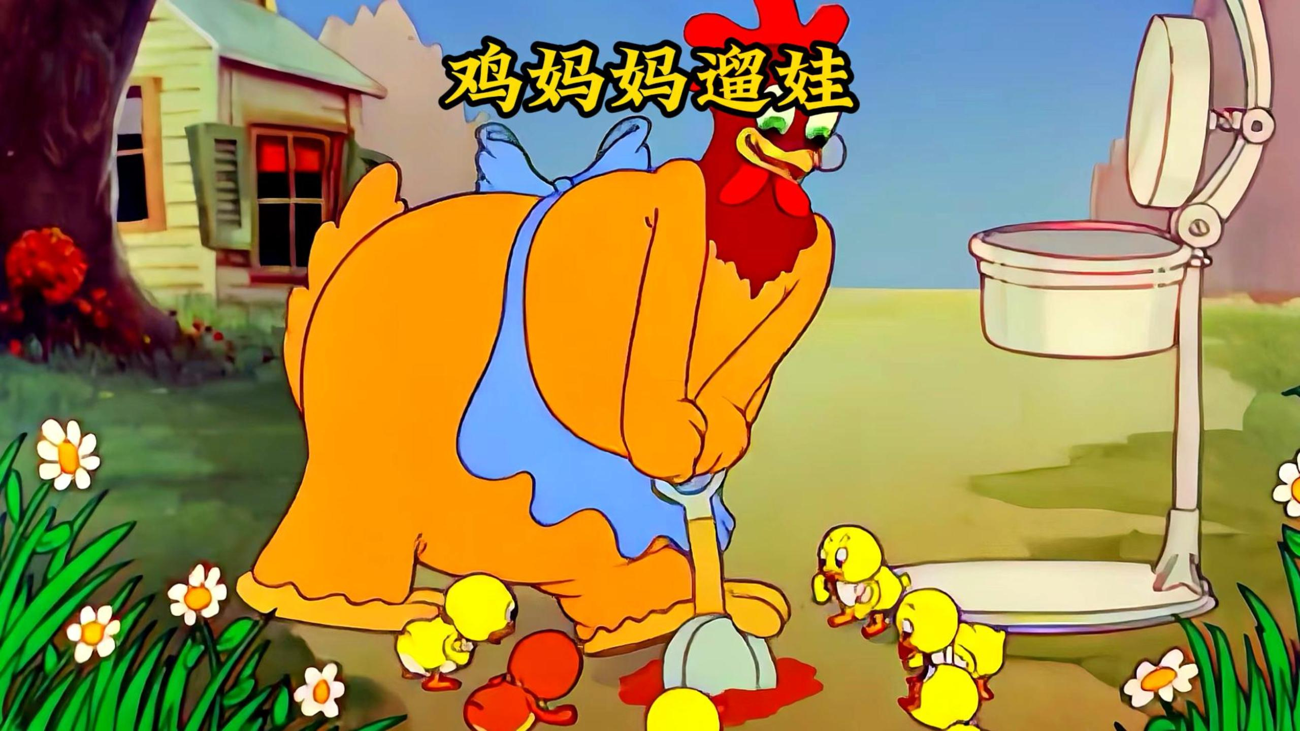 鸡妈妈的神级遛娃方式,500只小鸡闹翻天