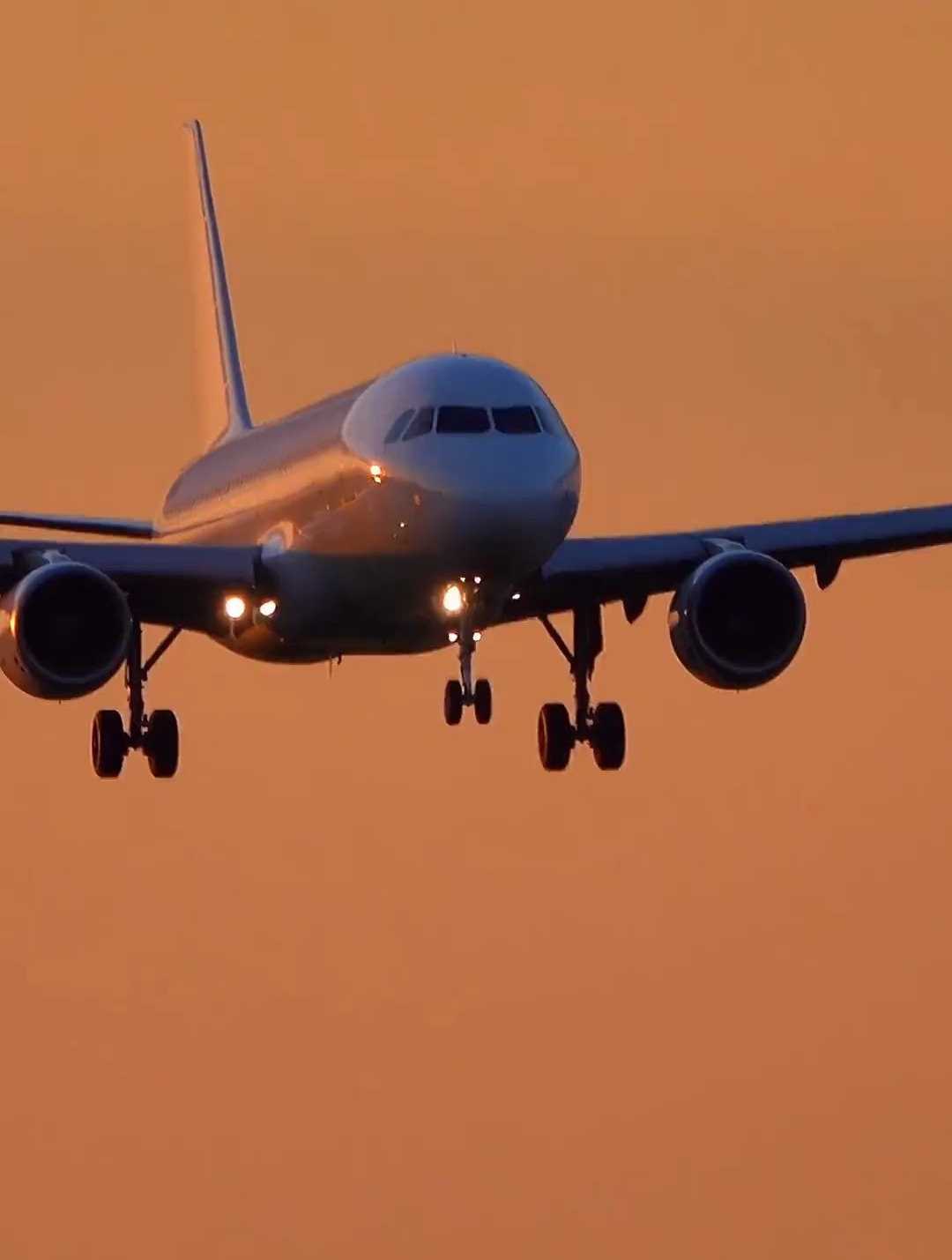 空客320一起看飞机 飞机降落