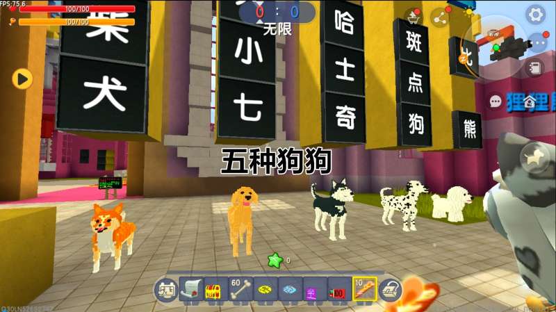 迷你世界萌宠饲养员5种不同的狗子让选择你会选哪个呀