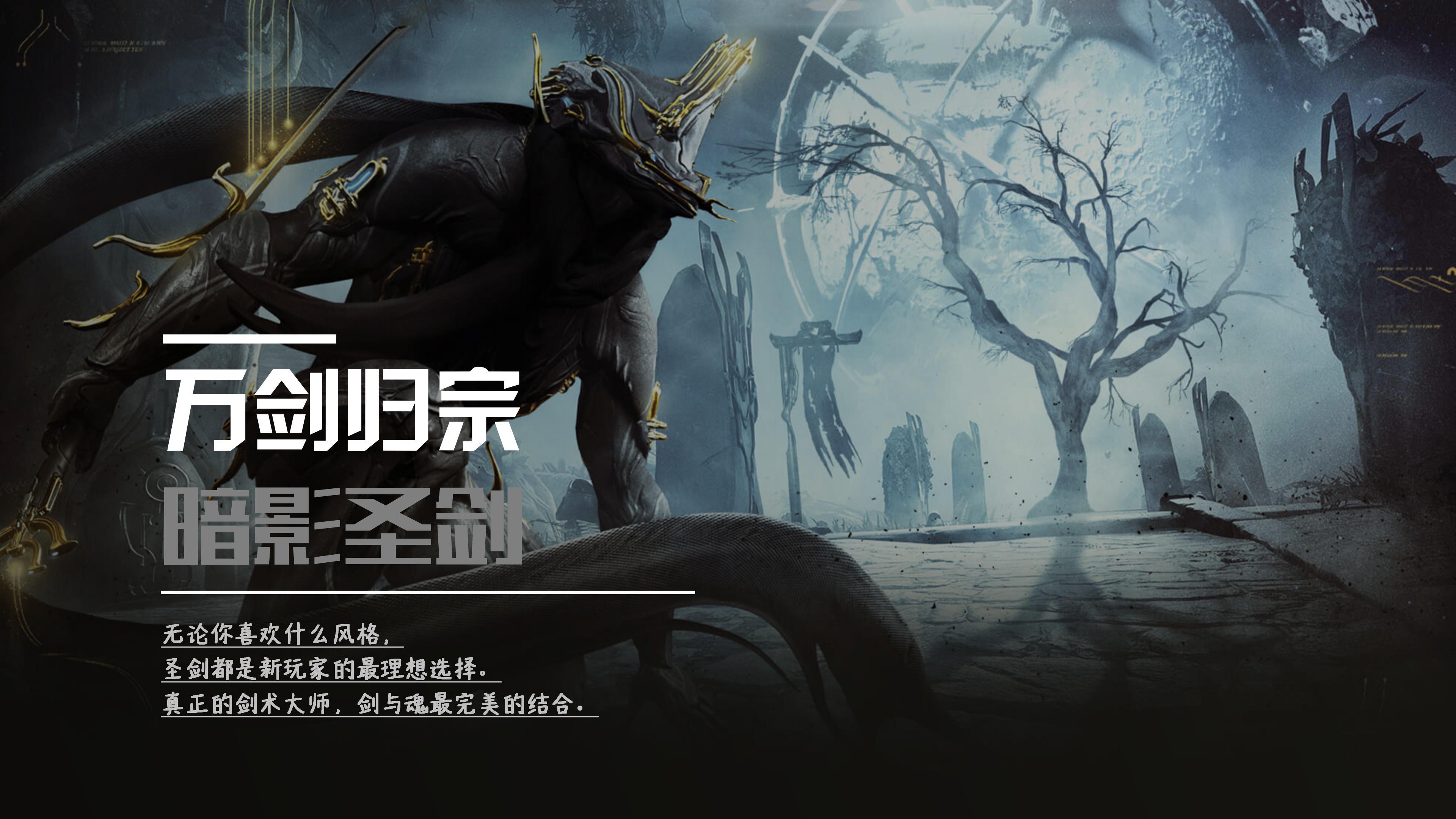 《人剑合一·万剑归宗》暗影圣剑(黑咖喱)战甲配卡