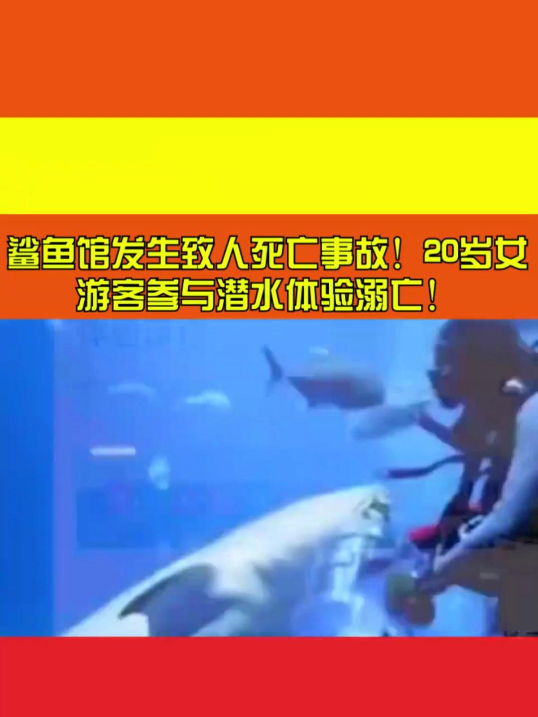 鲨鱼馆发生致人死亡事故!20岁女游客参与潜水体验溺亡!