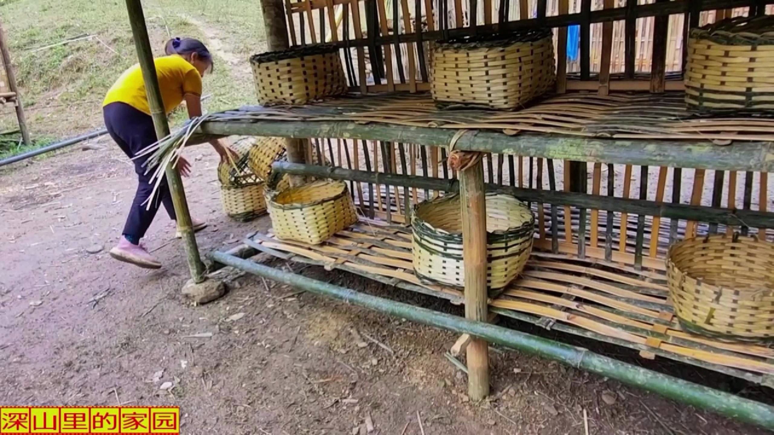 新设施原来是产孵一体房!这对于养鸡来说,够不够实用呢?