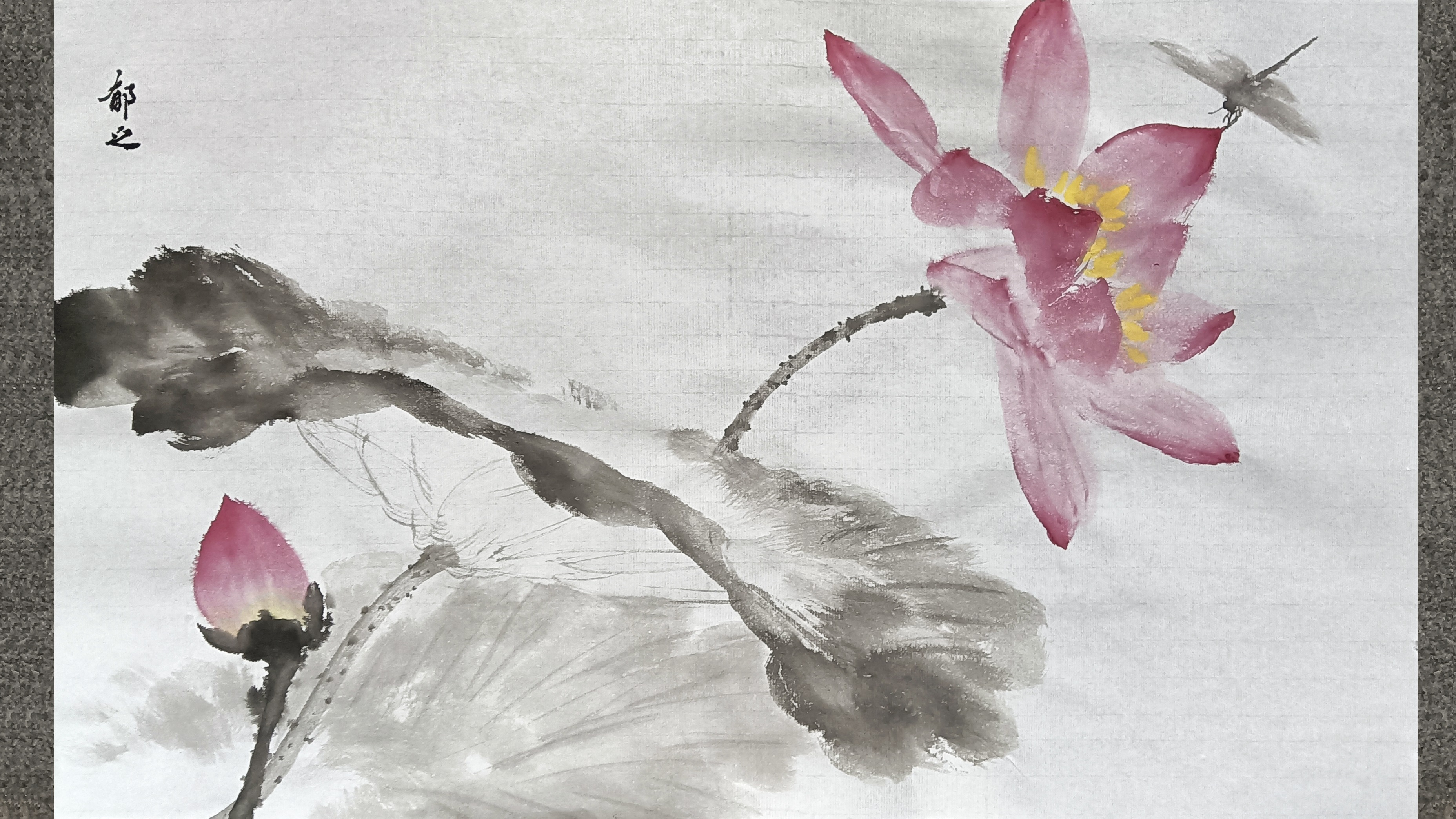 国画荷花日常练习