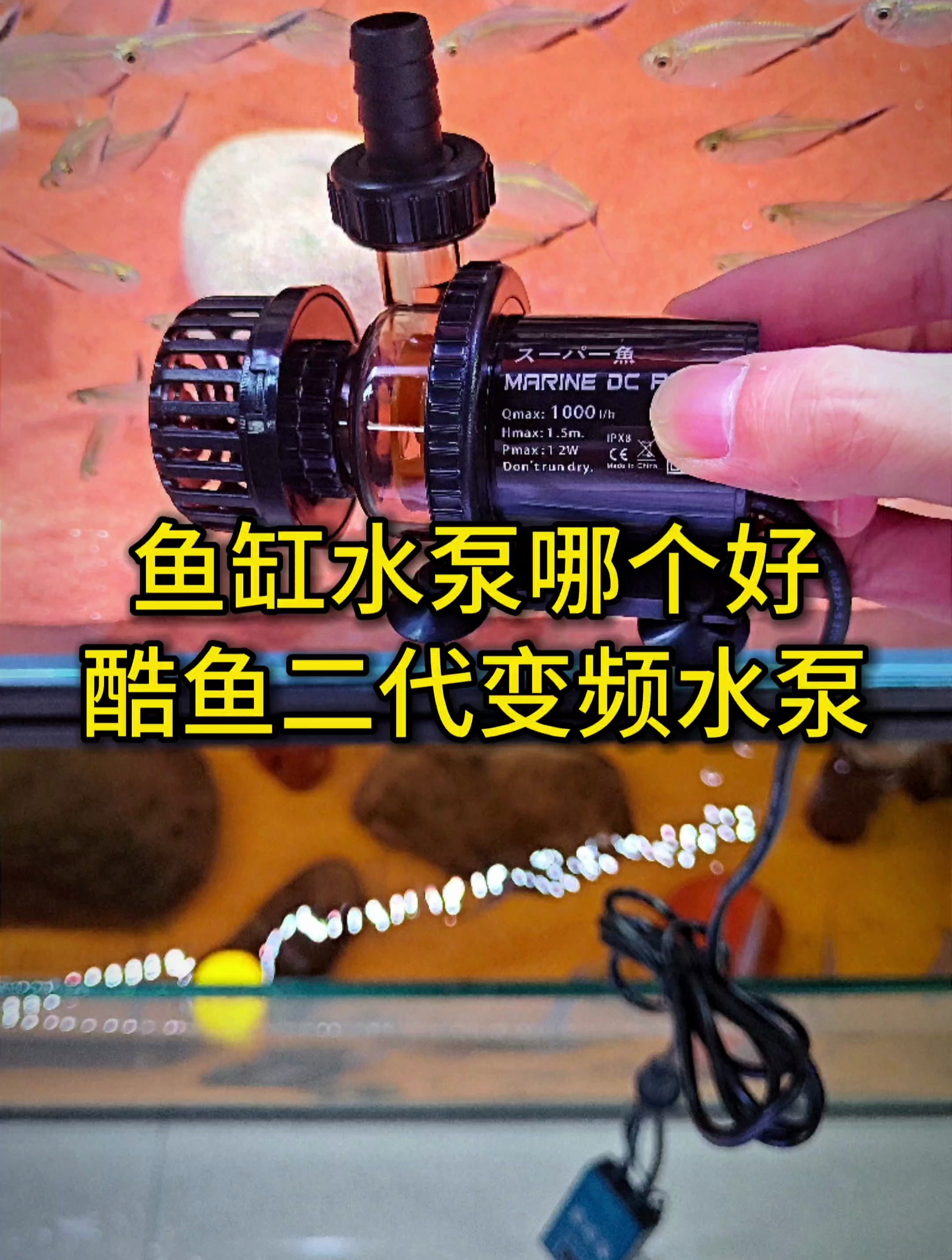 酷鱼二代变频水泵介绍与安装教程