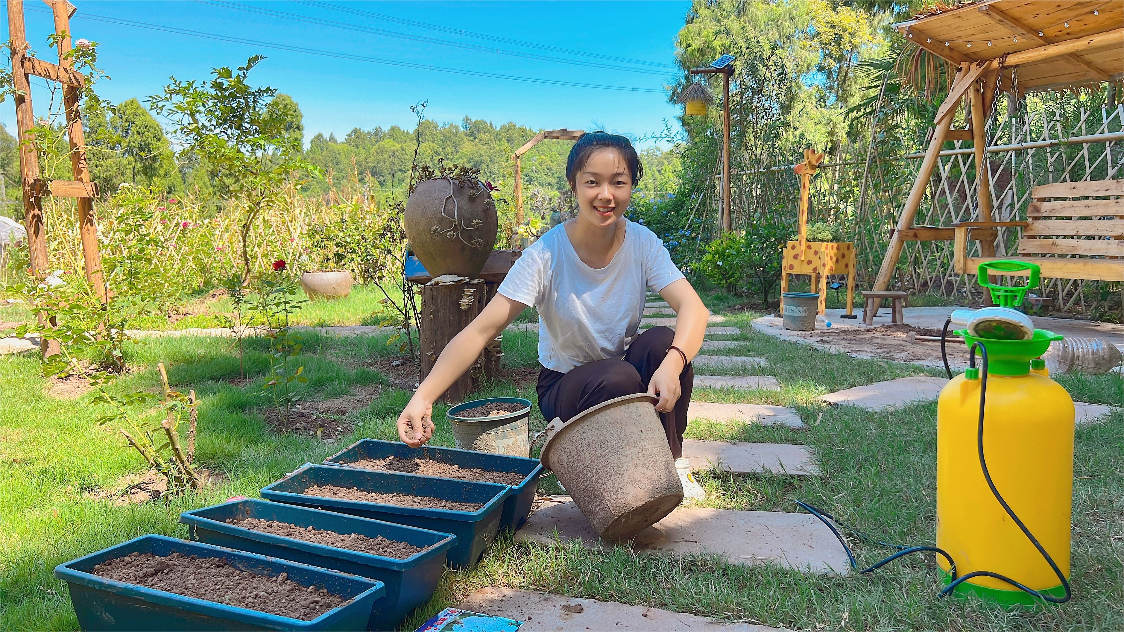 为了冬天吃上原生态蔬菜,柠檬买种子提前育苗了