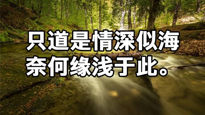 [图]只道是情深似海，奈何缘浅于此