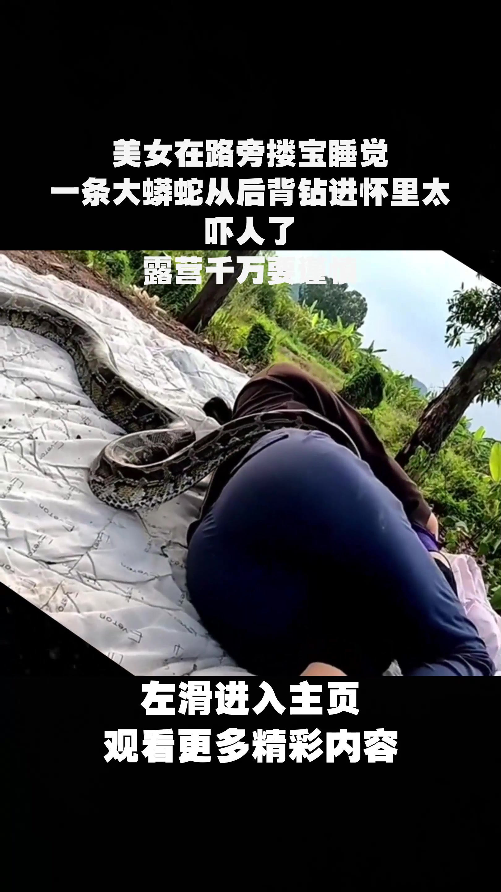 美女在路旁搂宝睡觉,一条大蟒蛇从后背钻进怀里太吓人了;露营千万要