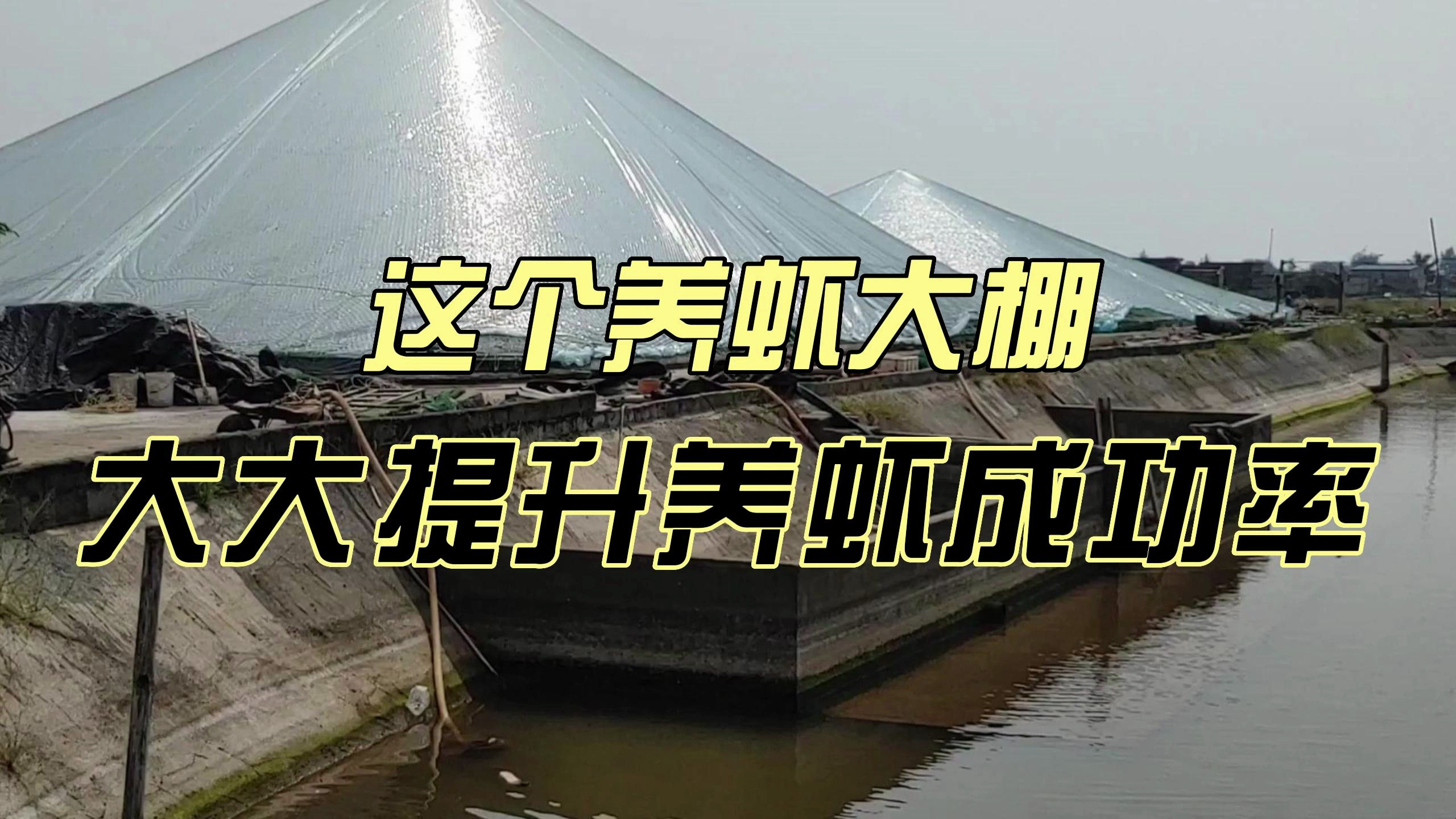 厉害了!这个养虾大棚,大大提升养虾的成功率!