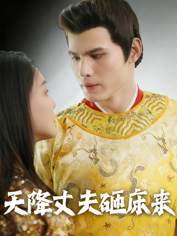 天降丈夫砸床来封面图