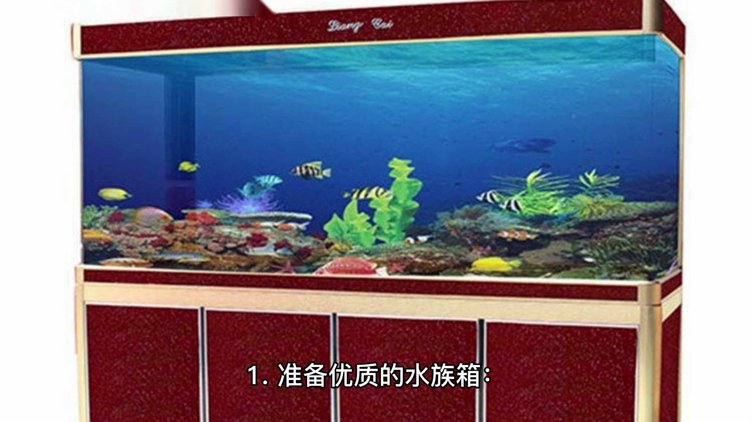 元宝鱼养殖方法和注意事项