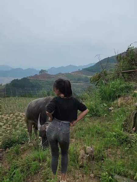 哈哈山里放牛娃只放一头放多了怕数不清放牛妹