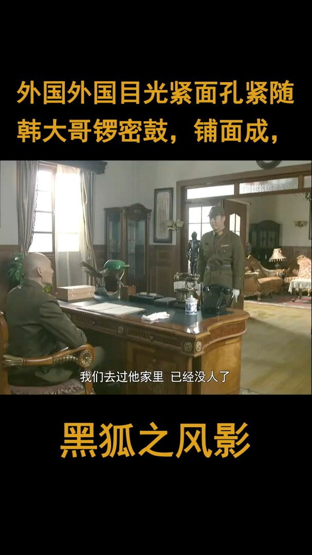 黑狐之风影:外国外国目光紧面孔紧随韩大哥锣密鼓,铺面成,韩大