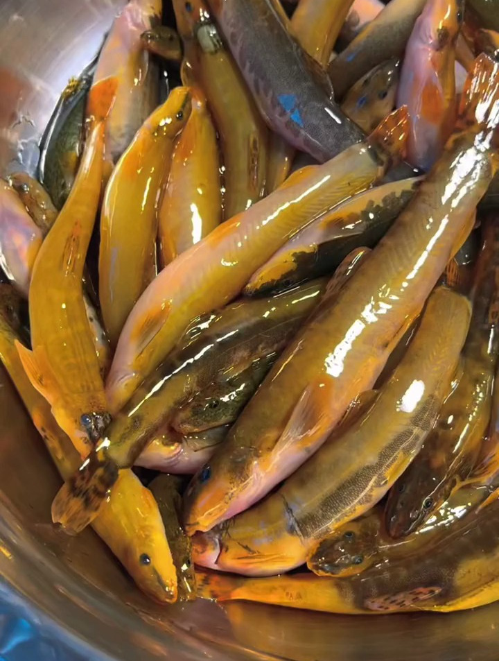 花泥鳅怎么做 一直有个事我就挺纳闷-度小视