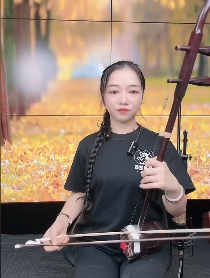 二胡演奏《红唇》