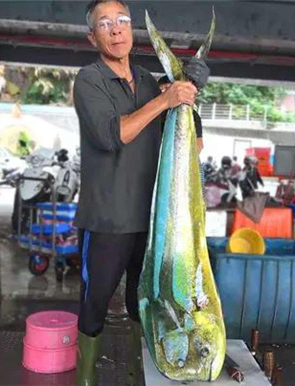 瞧这大家伙,比人还高的鬼头刀鱼,看高手怎么搞定,真是大开眼界!