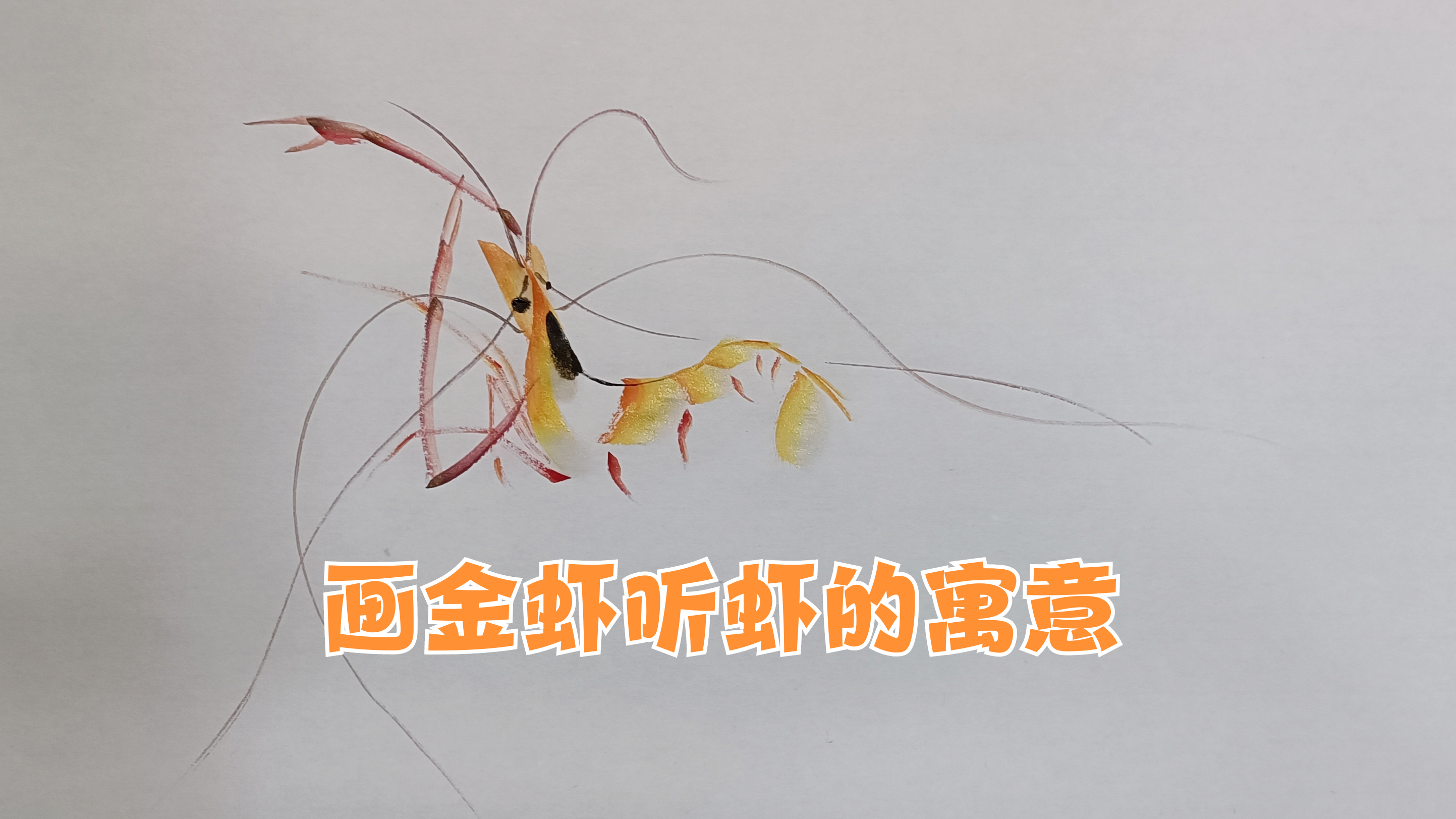 画金虾听虾的寓意,我把祝福融进国画里