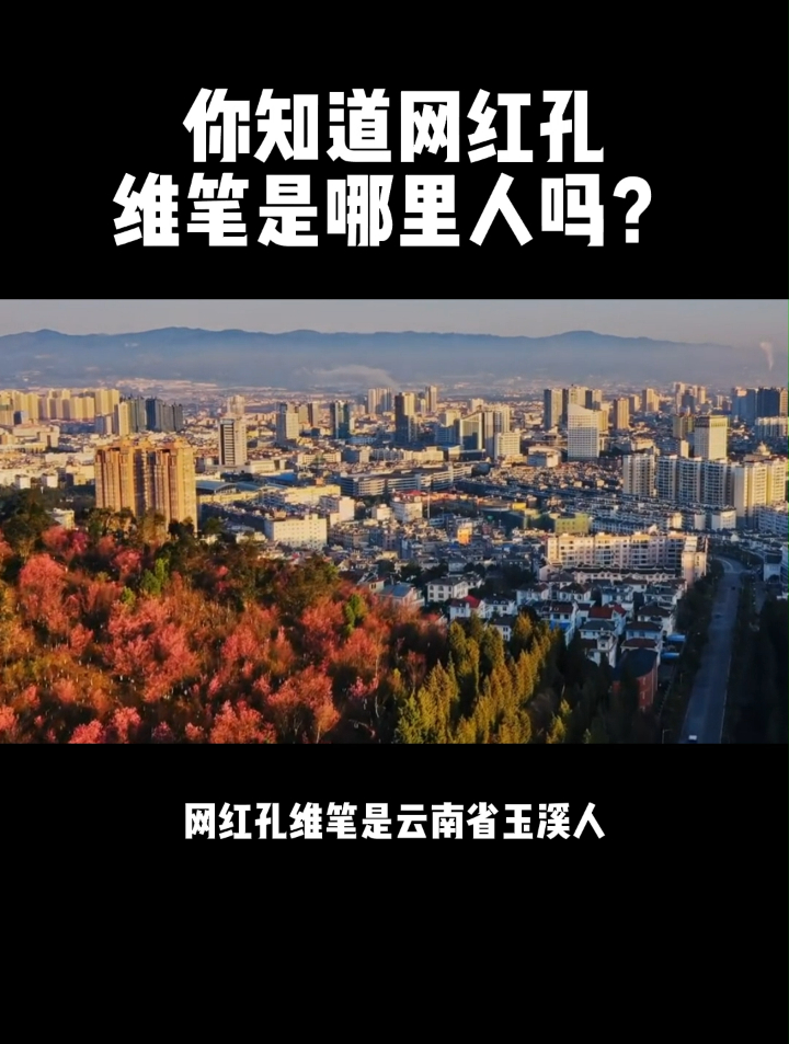 你知道网红孔维笔是哪里人吗?-度小视