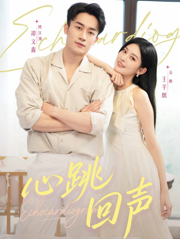 心跳回声封面图