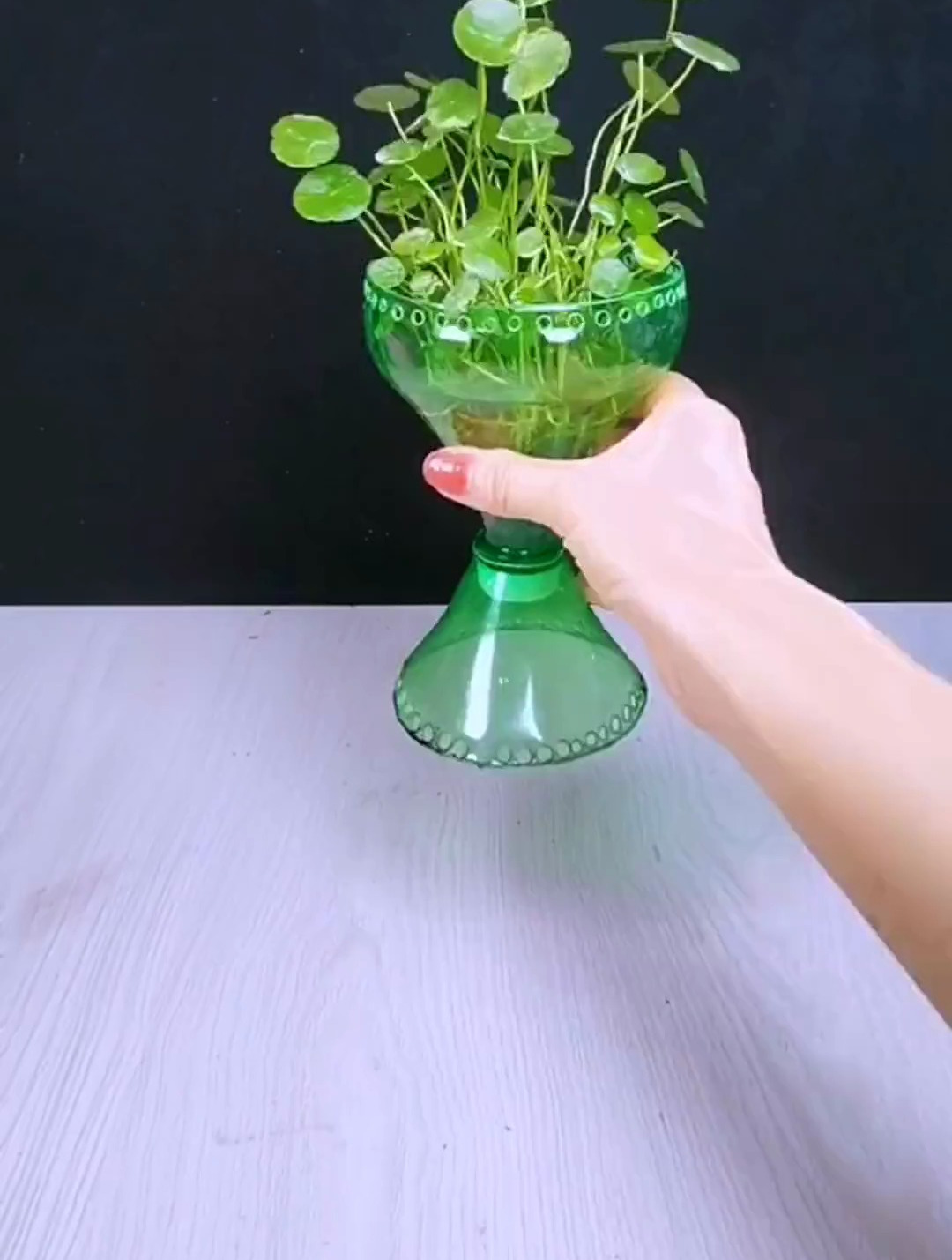 饮料瓶做花盆简单图片