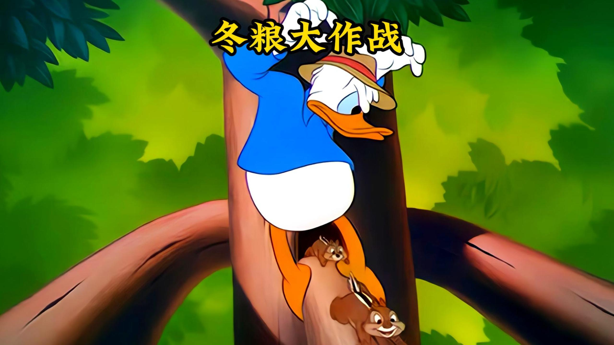 老白鸭为了偷坚果整蛊松鼠兄弟