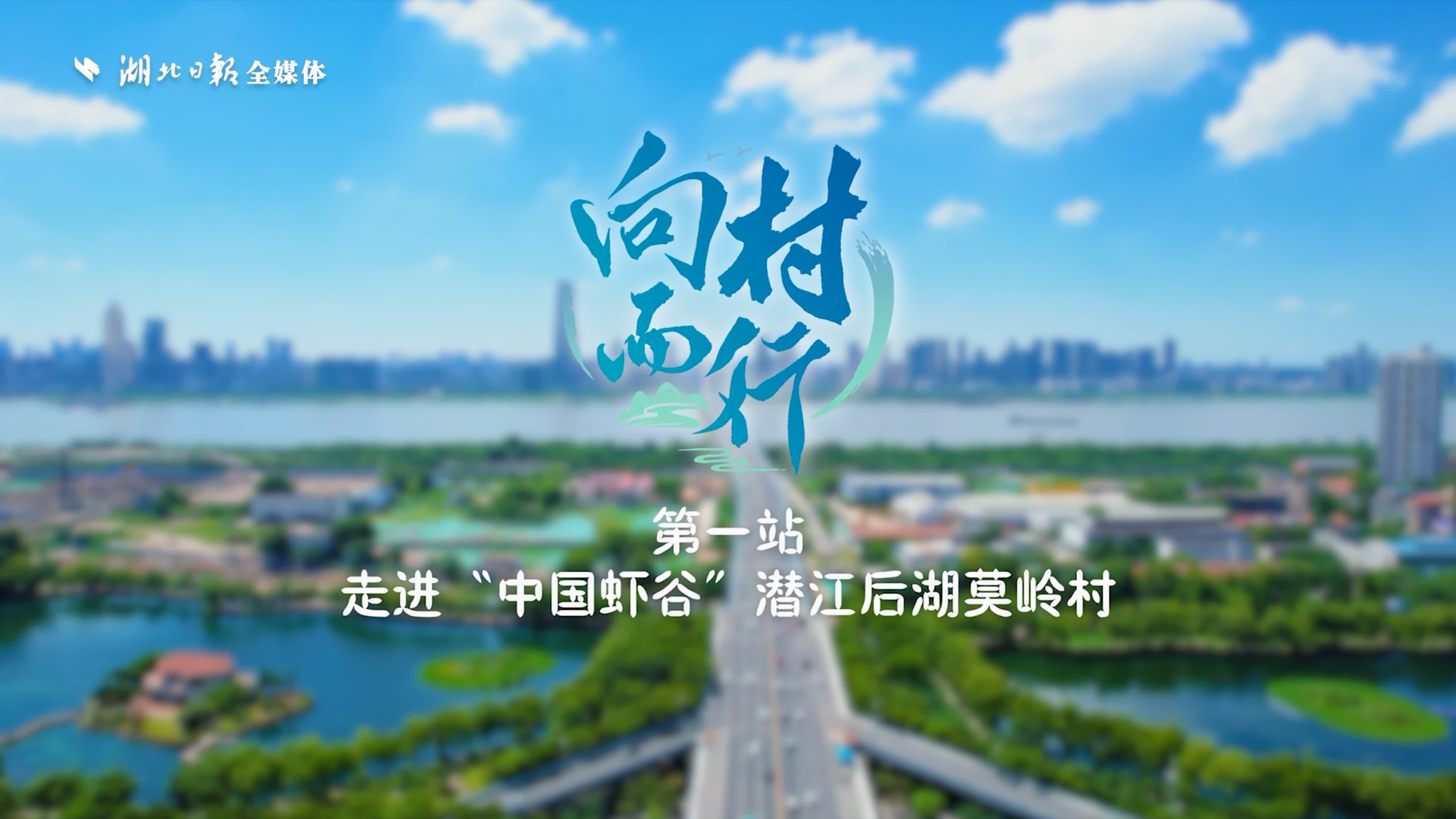 沉浸式打卡美丽的“虾稻之乡”