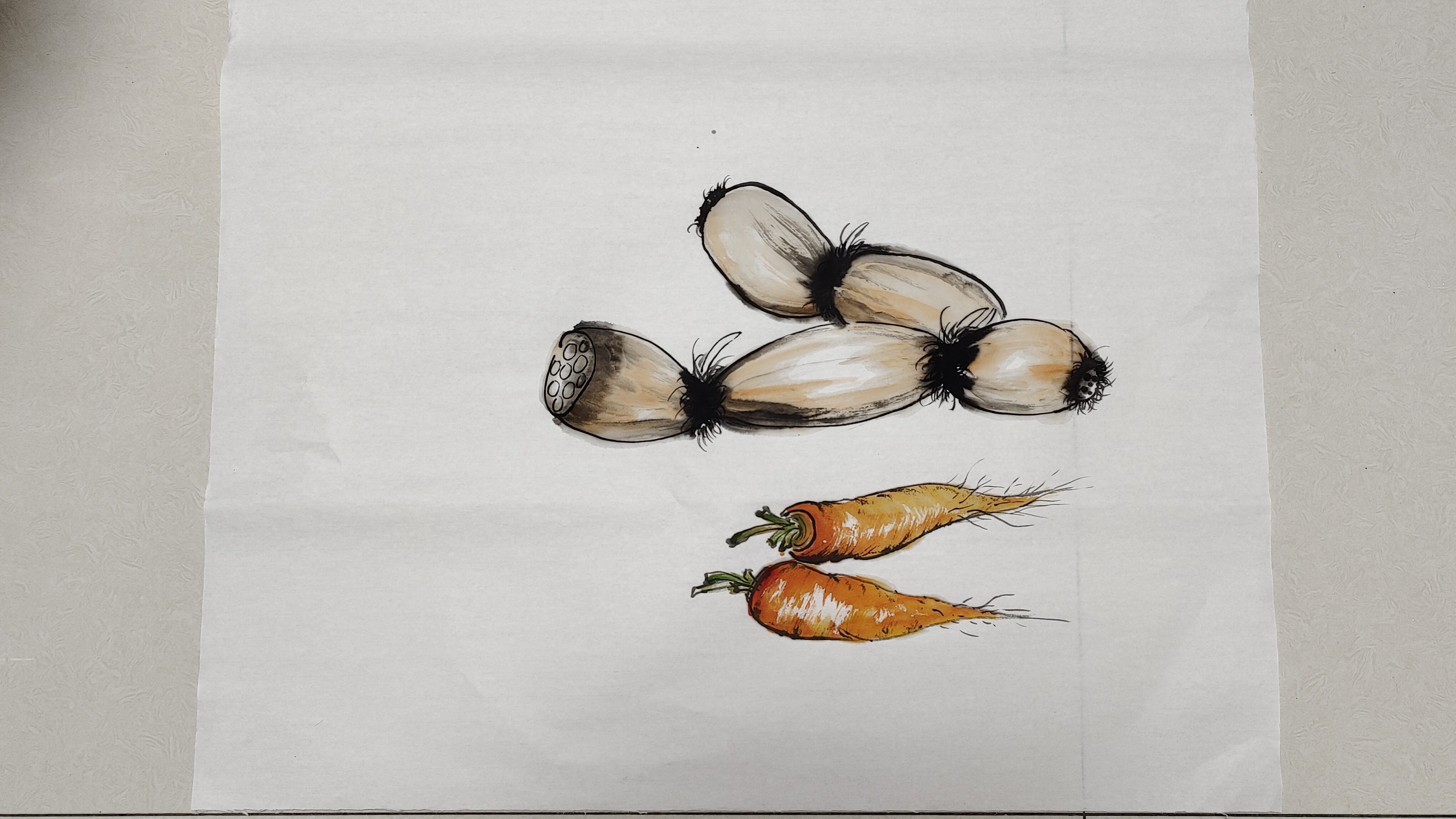 简单的线条,手把手教会您莲藕与胡萝卜的画法