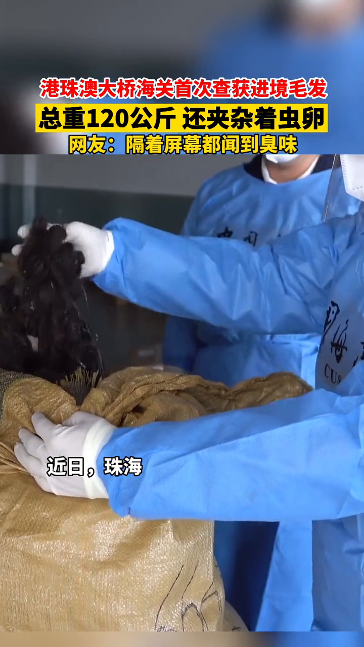 港珠澳大桥海关查获走私毛发,总重120公斤,还夹杂着虫卵