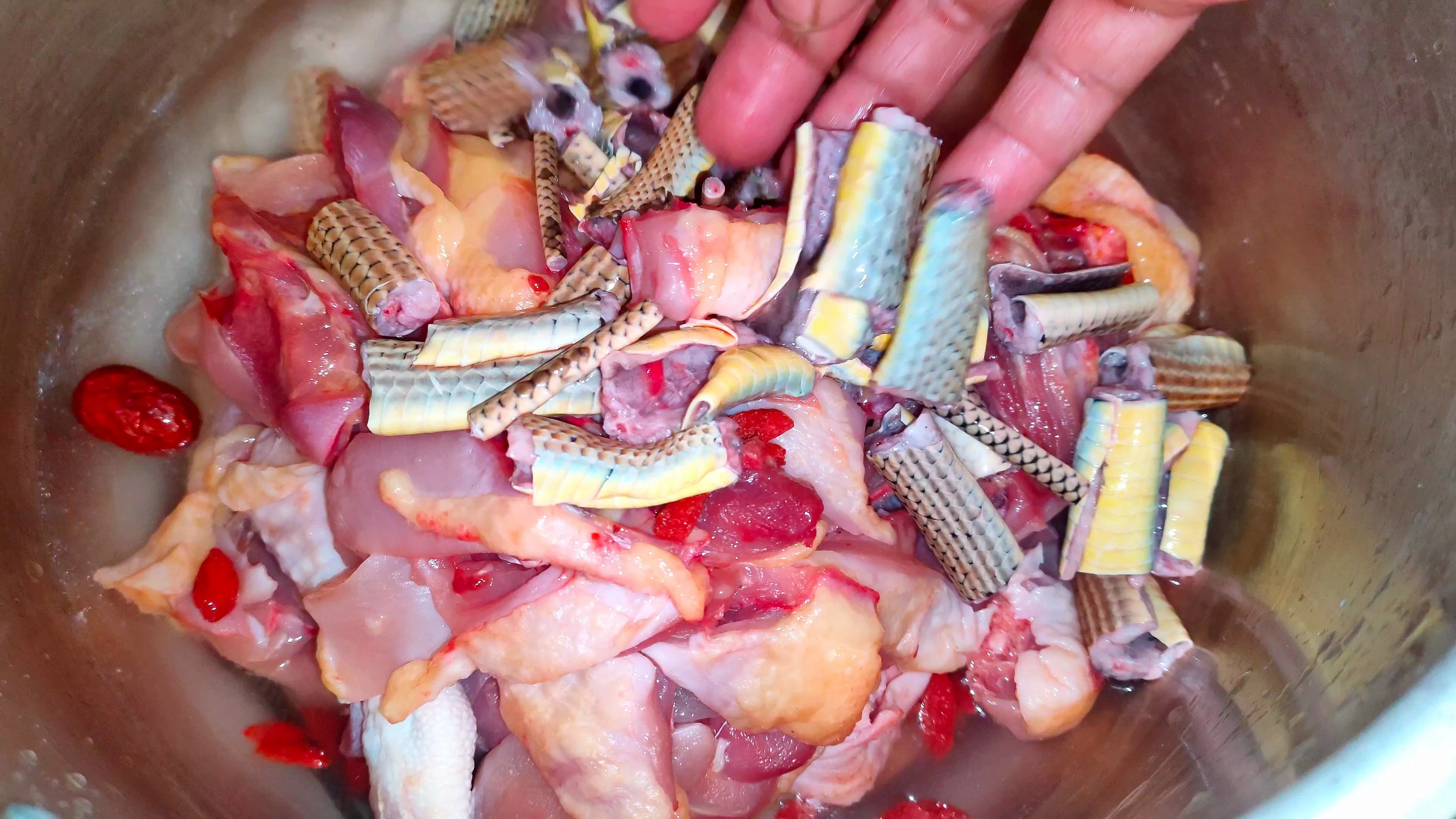 最近需要大补,特地去老表养殖场搞了一条辣条炖个《龙凤汤》补补