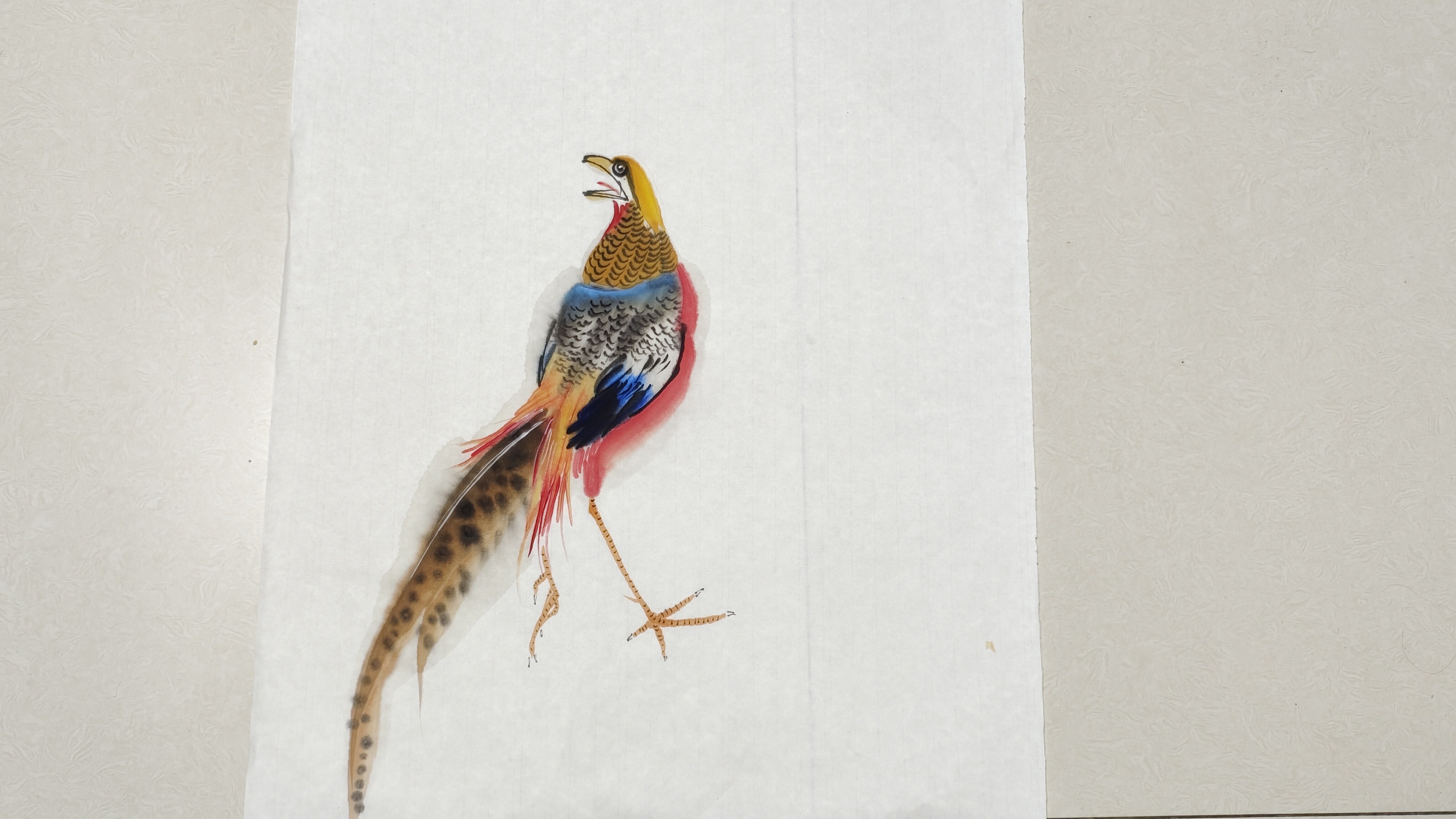 国画入门课,锦鸡画法
