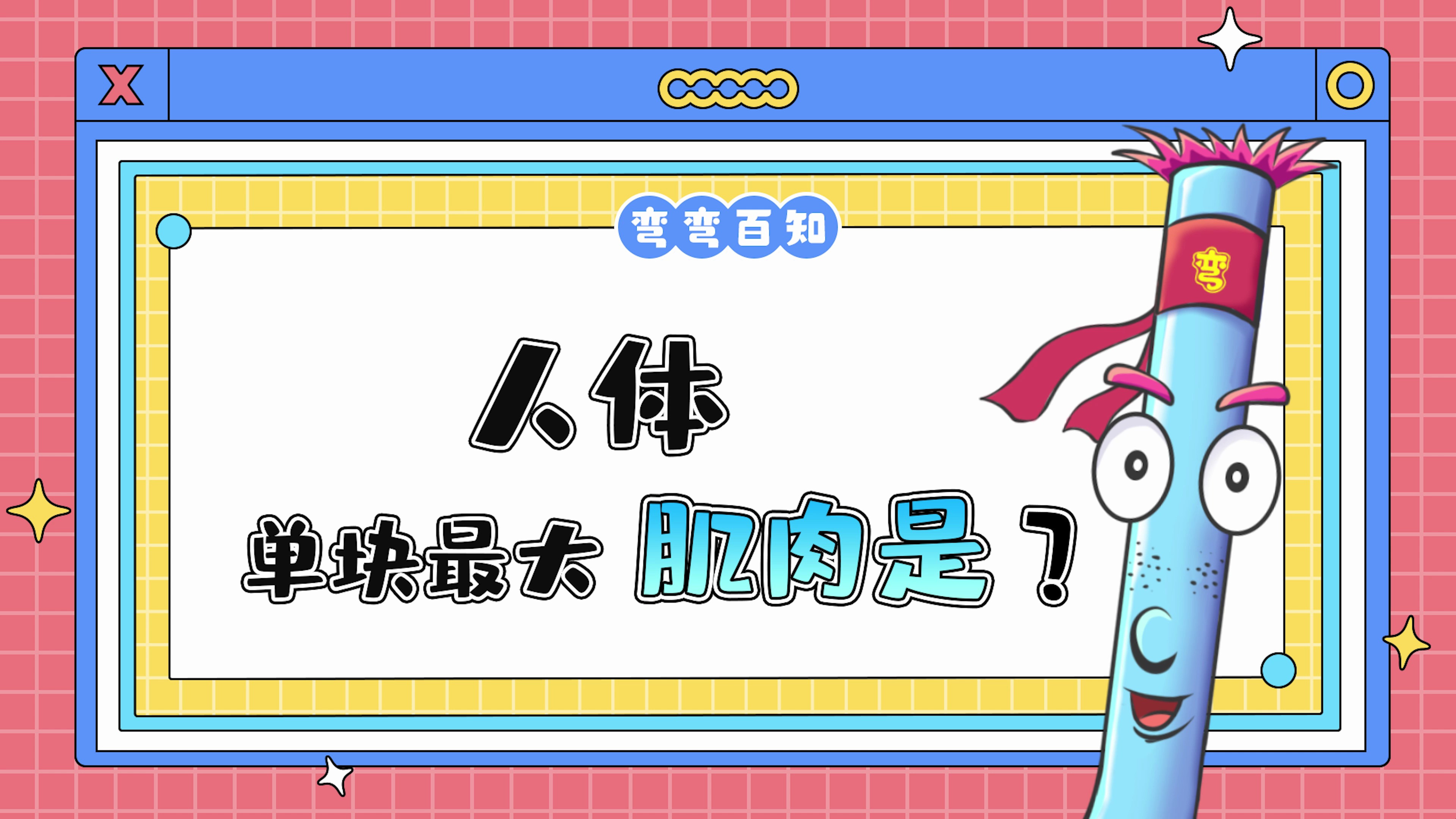 人体单块最大的肌肉是哪里呢?