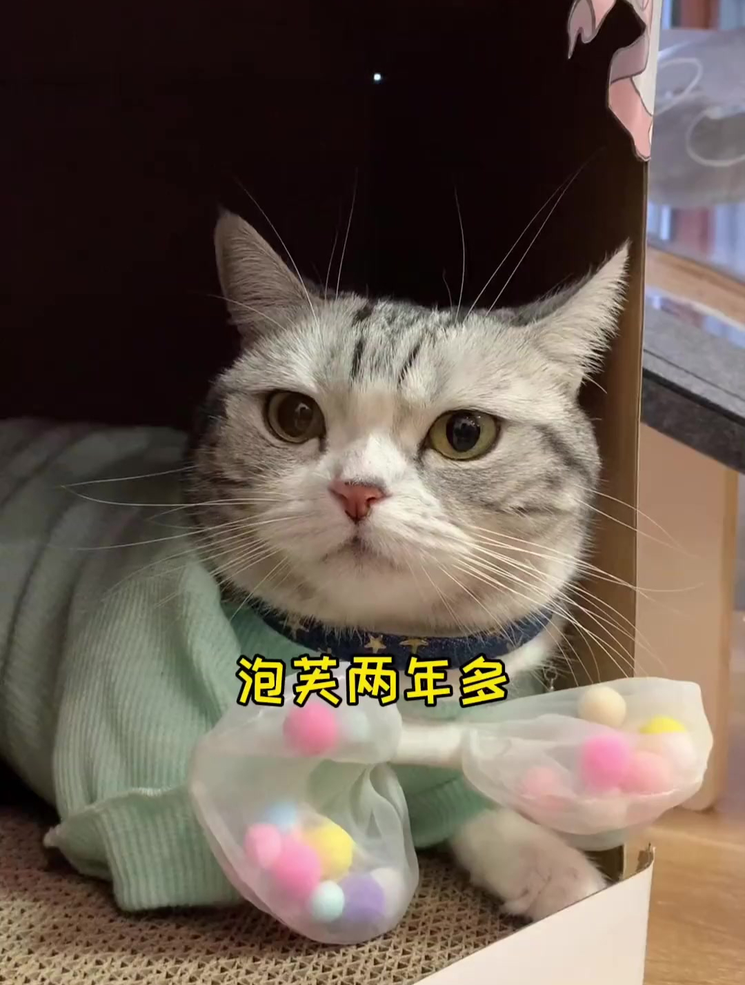 安生泡芙结束了异地恋后第一次见面的场景!