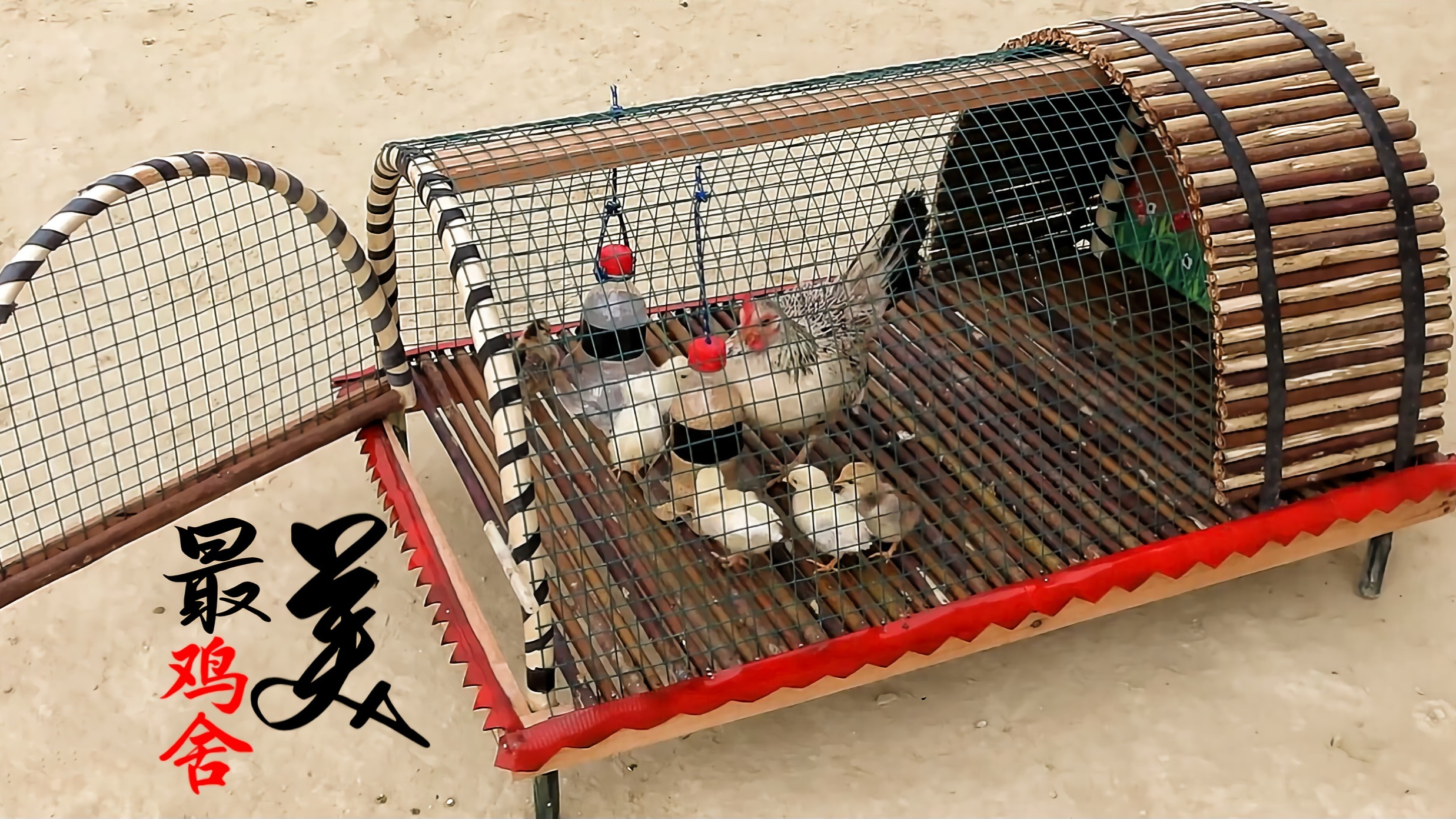 男子不花一分钱制作了一个精美鸡舍,住进新屋的鸡母子乐坏了