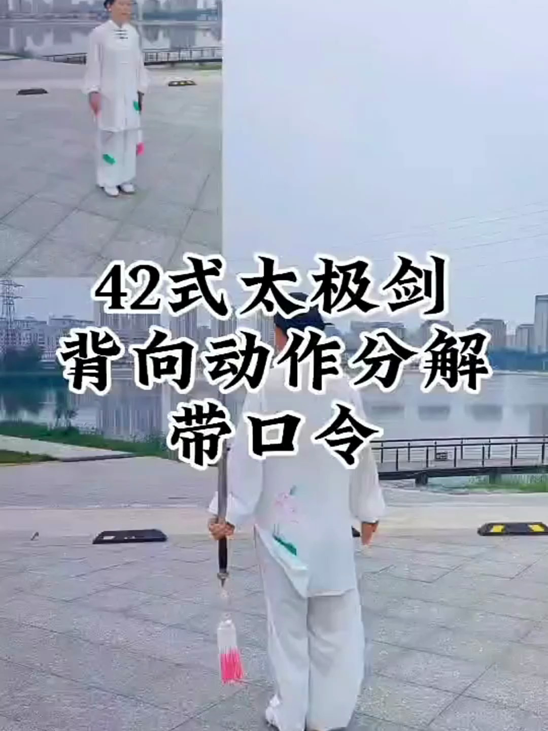 42式太极双扇图片