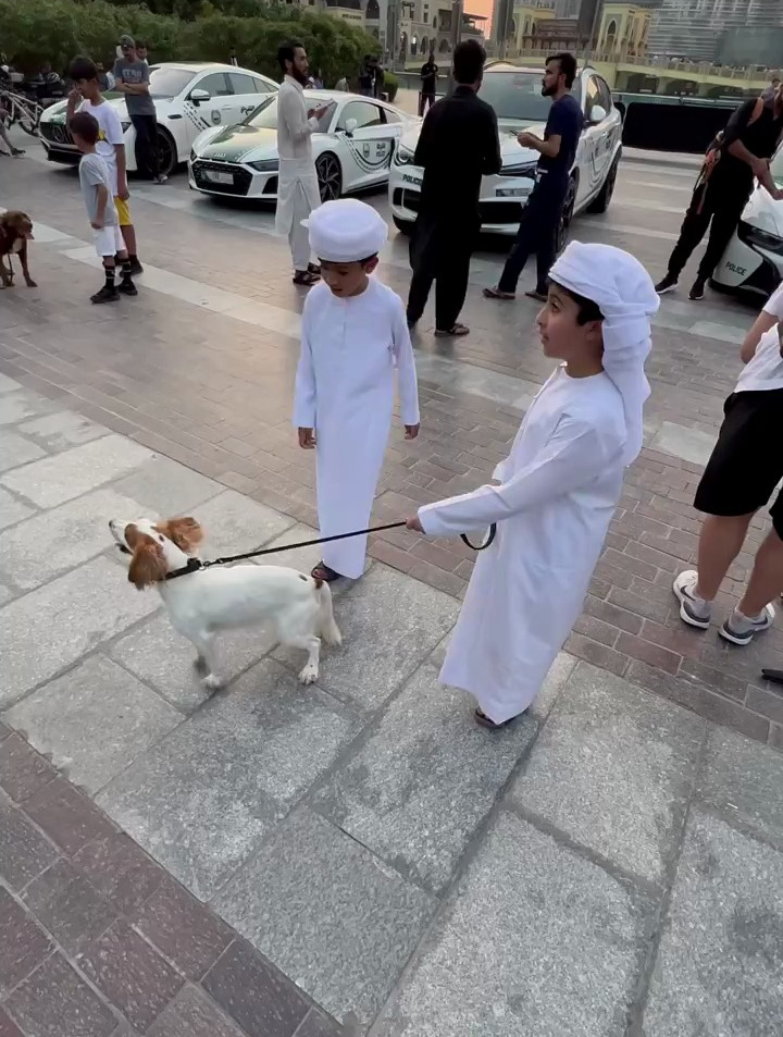 迪拜人日常生活你了解吗?含着金钥匙出生的迪拜小王子