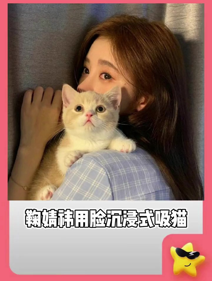 鞠婧祎抱猫的可爱照片图片