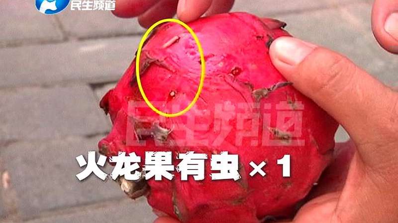 买火龙果掰开里面全是虫还在蠕动女子可怕的是已经吃了两个