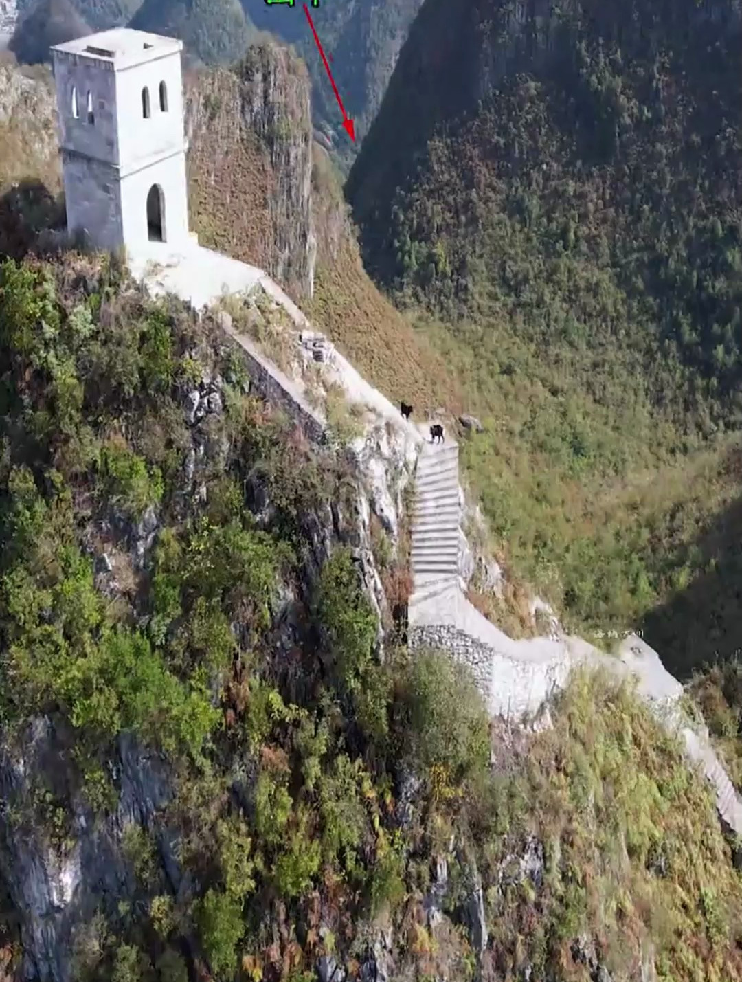 贵州高山上惊现万里长城上面还有两只山羊在玩耍