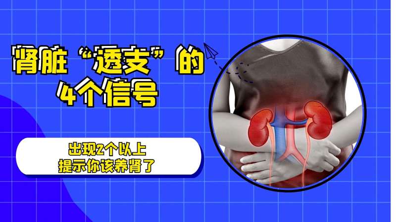 医生提醒:肾脏“透支”的4个信号,出现2个以上,提示你该养肾了