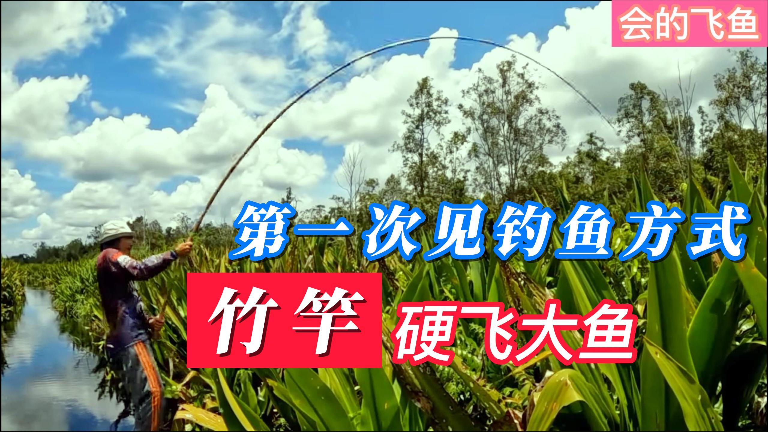 谁说竹竿就不好钓鱼?钓友使用竹竿硬飞3斤大“黑鱼”质量非常好