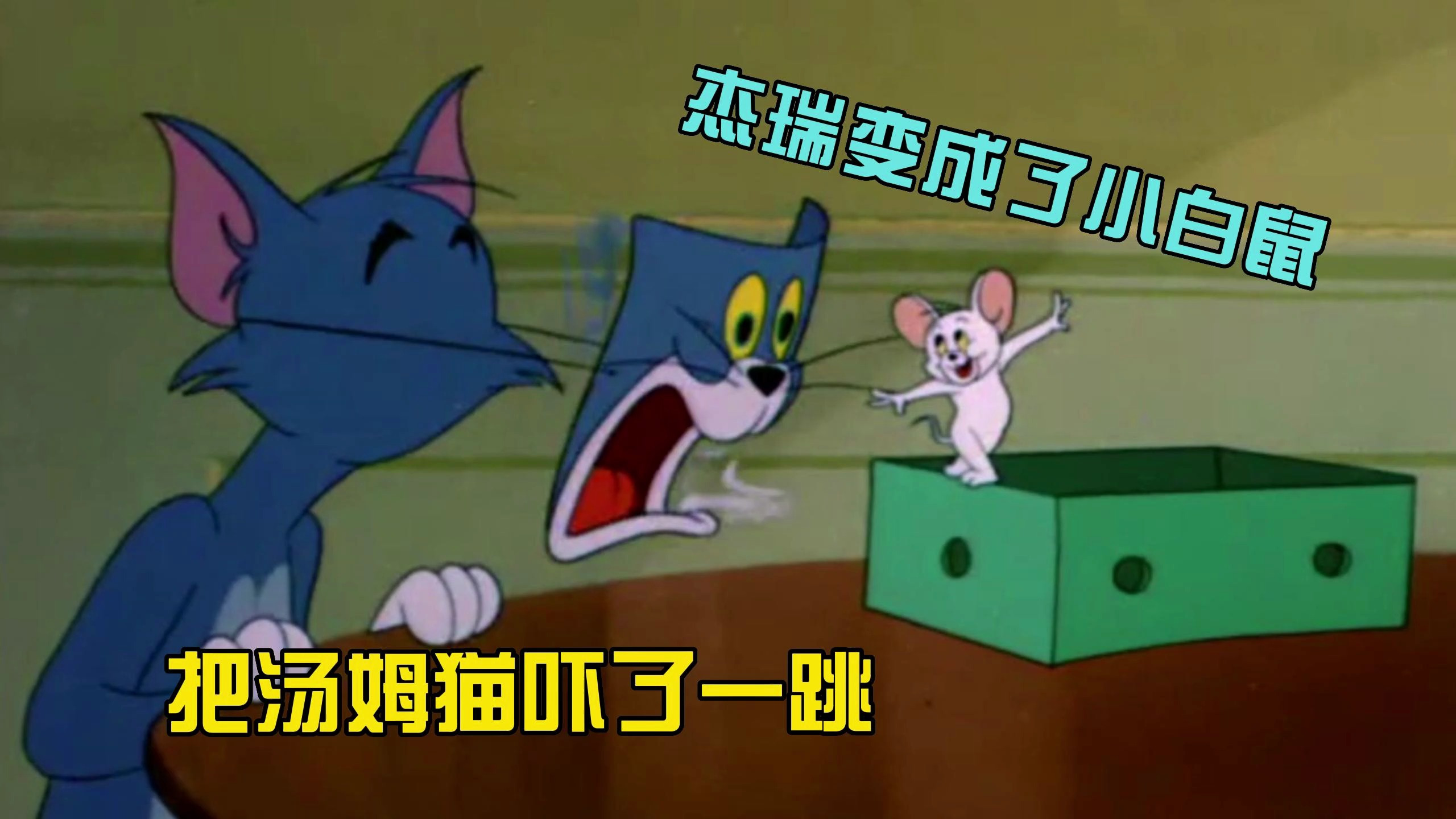 猫和老鼠:变成小白鼠的杰瑞回来了,这下汤姆猫不淡定了
