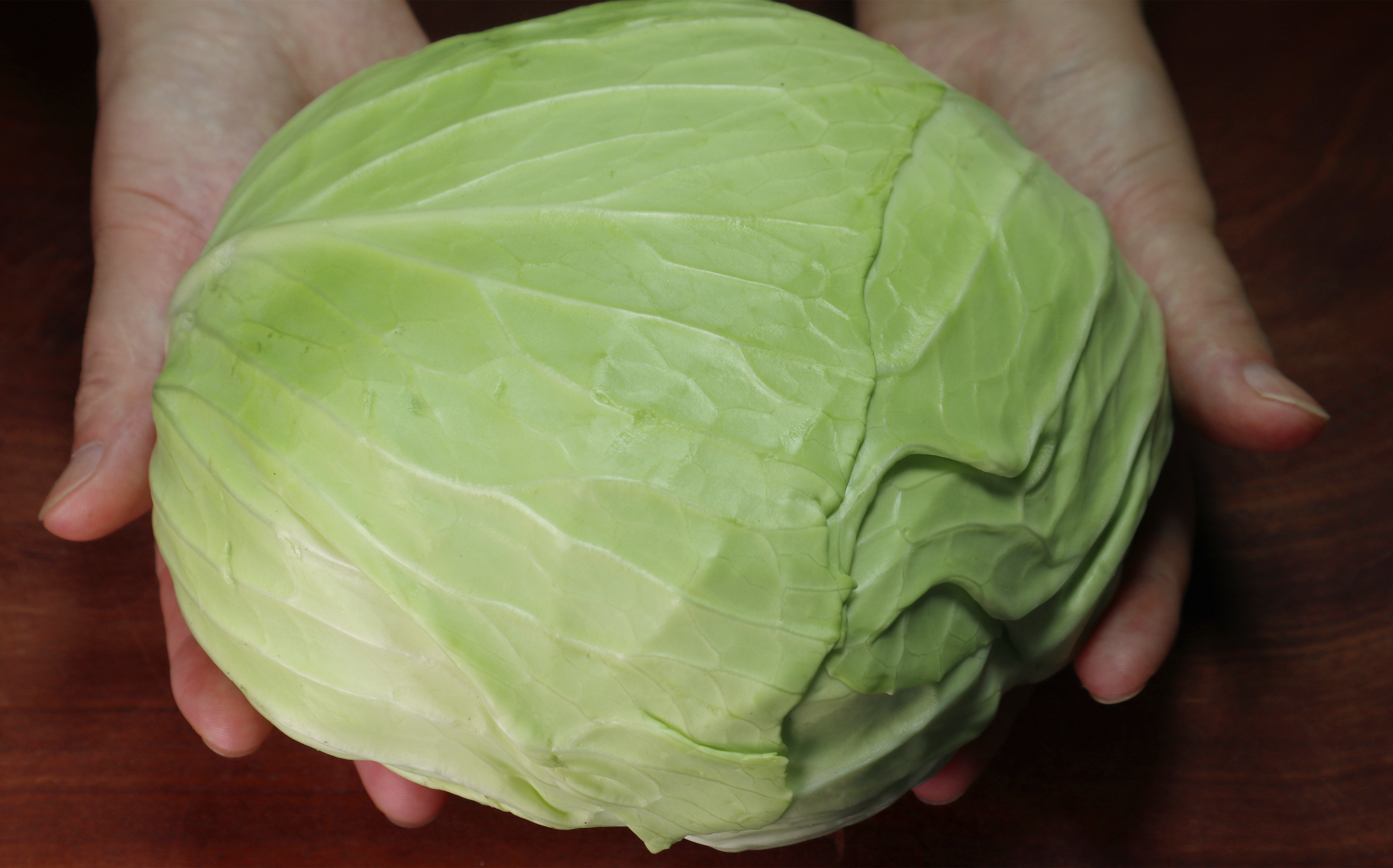 包菜加入1个西红柿,教你祖传做法,上桌瞬间光盘,比吃肉还香