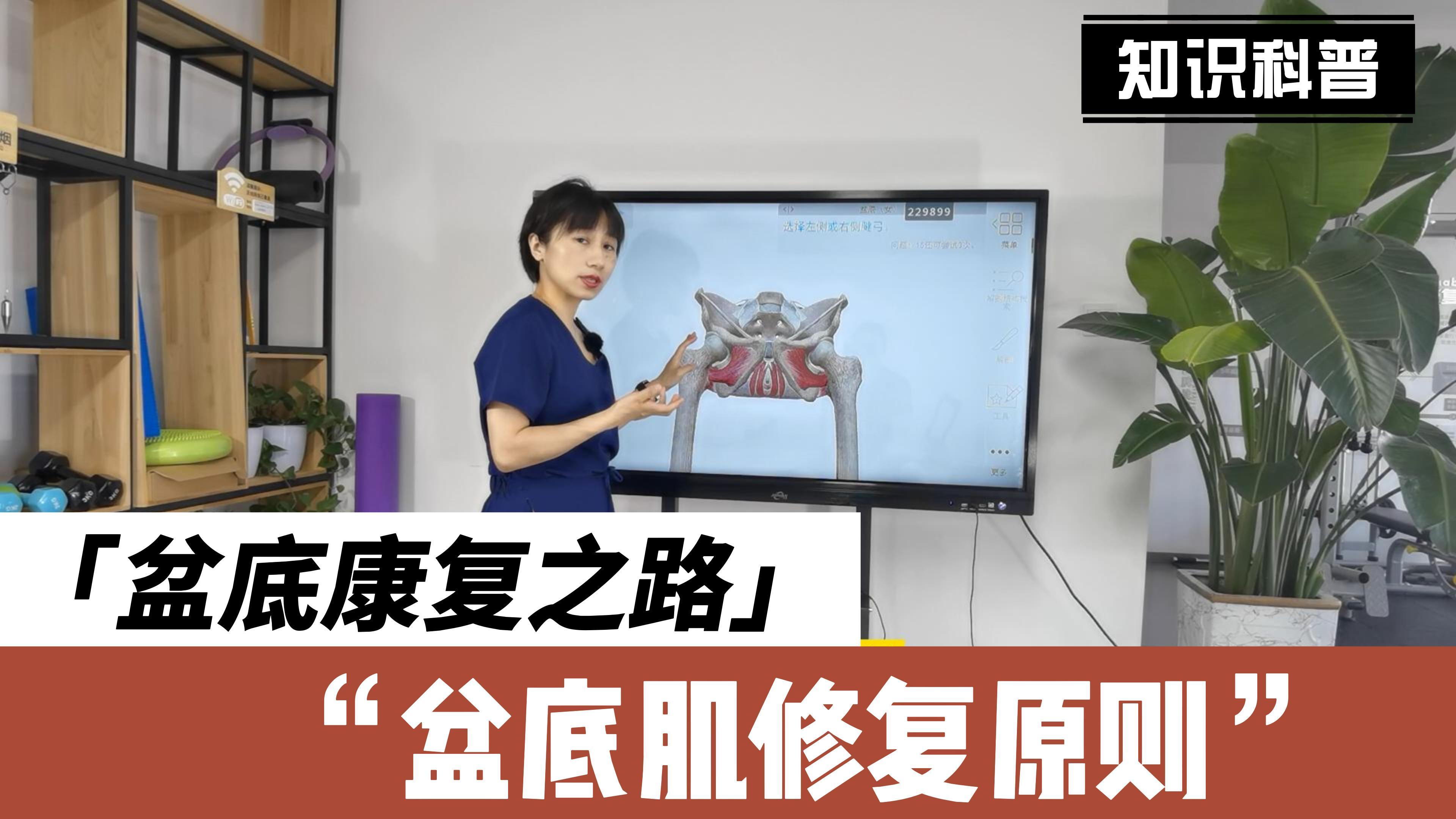 盆底肌修复的原则!深层的肌肉才是修复的关键!