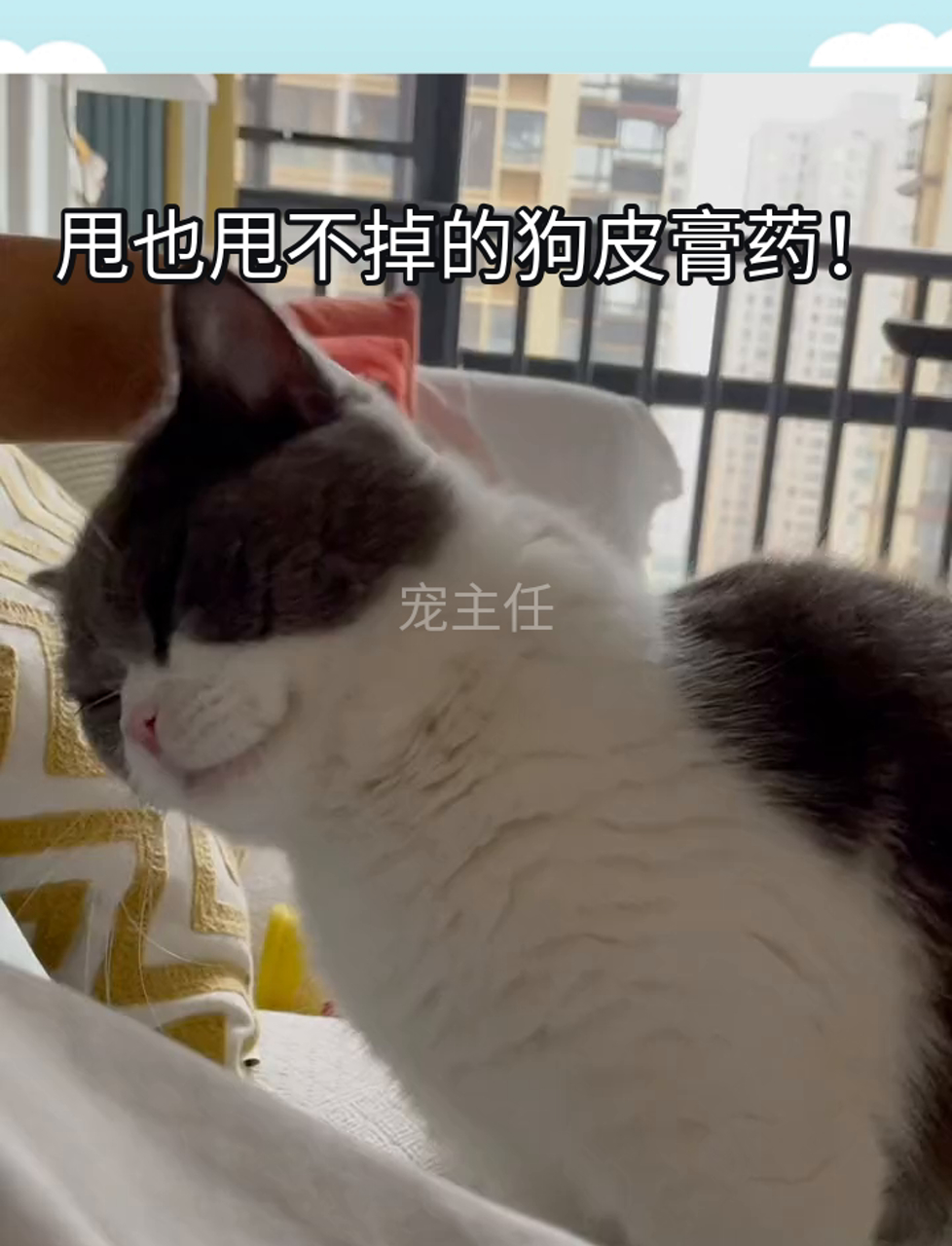 甩也甩不掉的狗皮膏药!