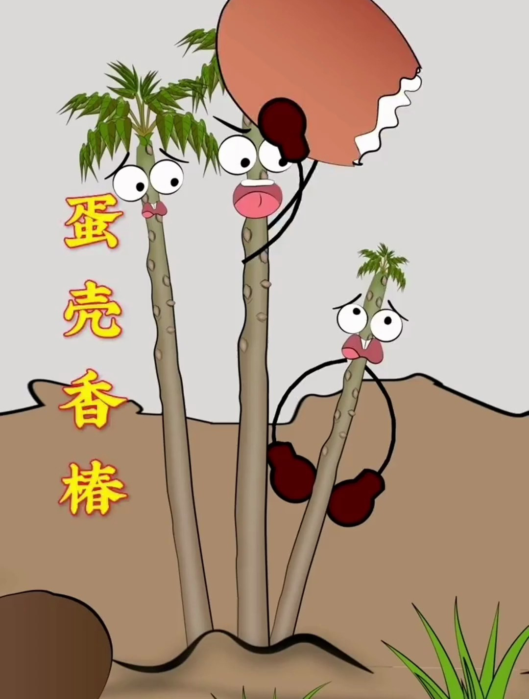 將雞蛋殼套在剛發芽的香椿上,這是為什麼呢?