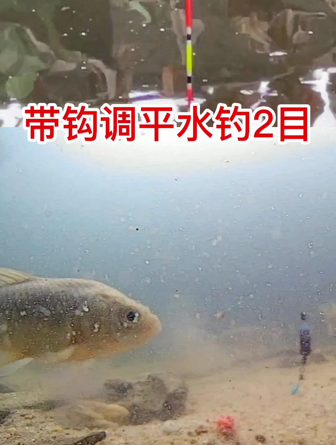 带钩调平水钓2目水下鲫鱼吃饵是什么状态冬季好不好用