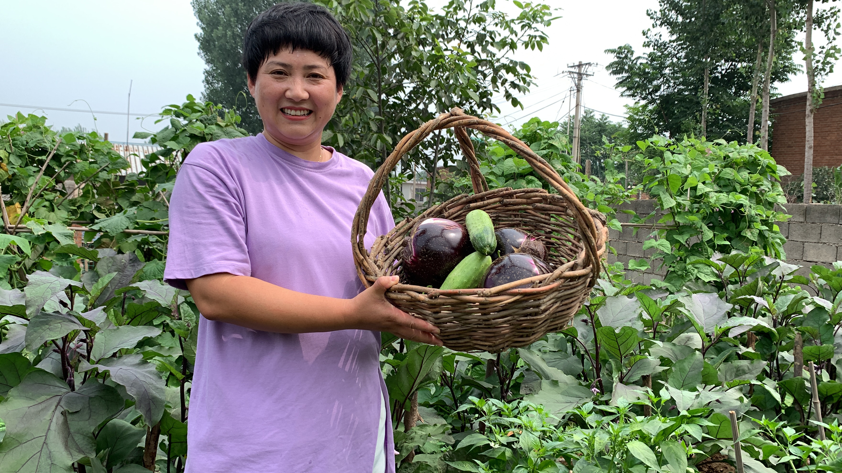 菜园里的菜大丰收,茄子大如头,尖椒压弯秧,随便一摘就是一筐